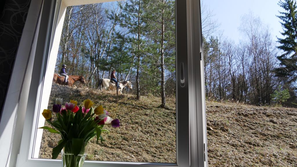 Vsemina Apartman Luzkovice المظهر الخارجي الصورة